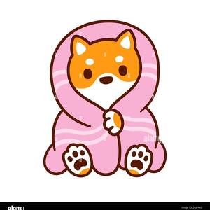 Fundraising Page: Teni & Timi Akenroye